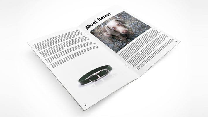 Bi-fold 8.5×11 inch Pamphlet Mockup