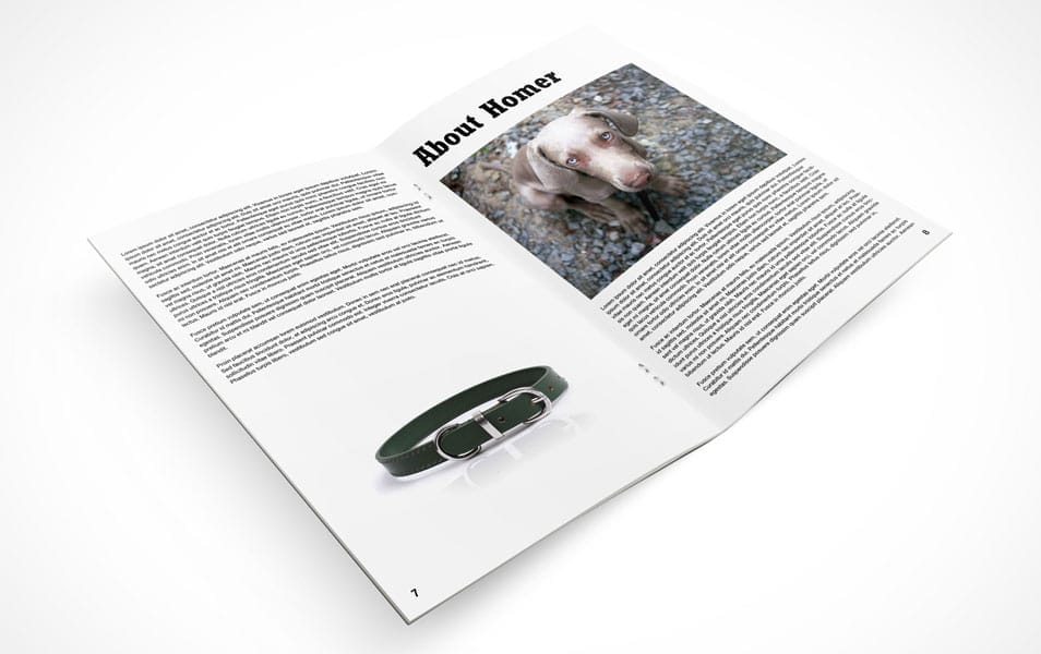 Bi-fold 8.5×11 inch Pamphlet Mockup