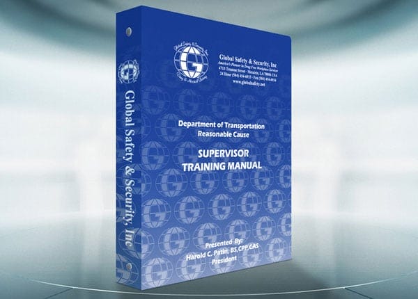 Global Safety Security Inc 