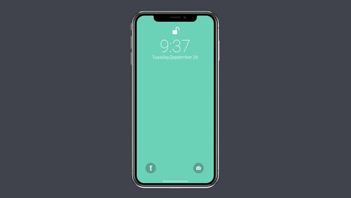 Vector iPhone X Mockup