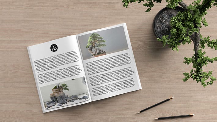 Modern Catalog Magazine Mockup