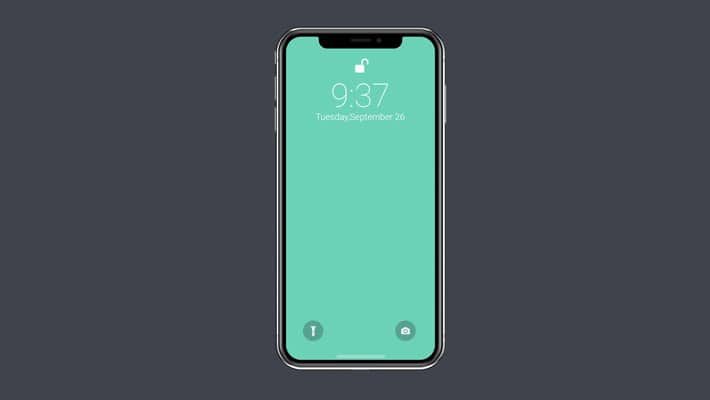 Vector iPhone X Mockup