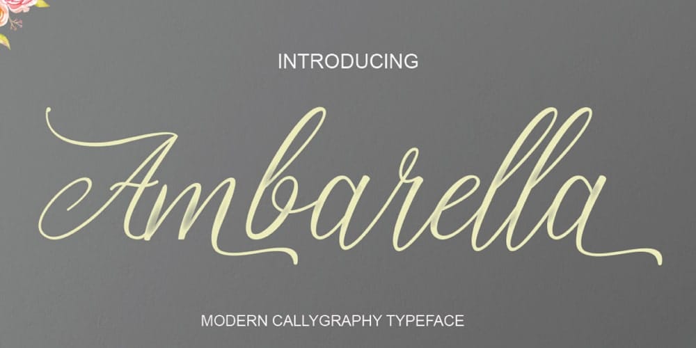 Ambarella Typeface