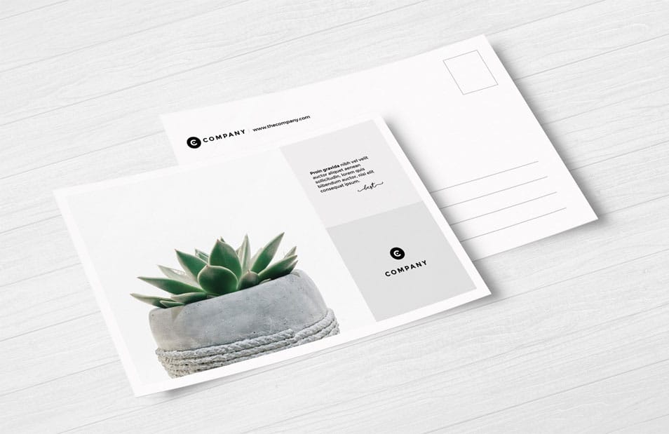 Free Postcard Mockups