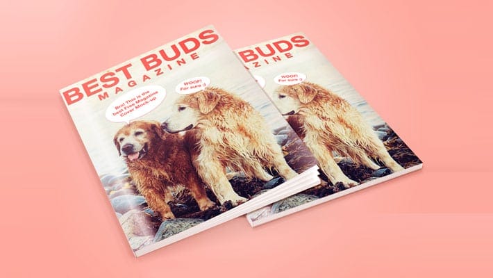 Magazine Cover Mockup
