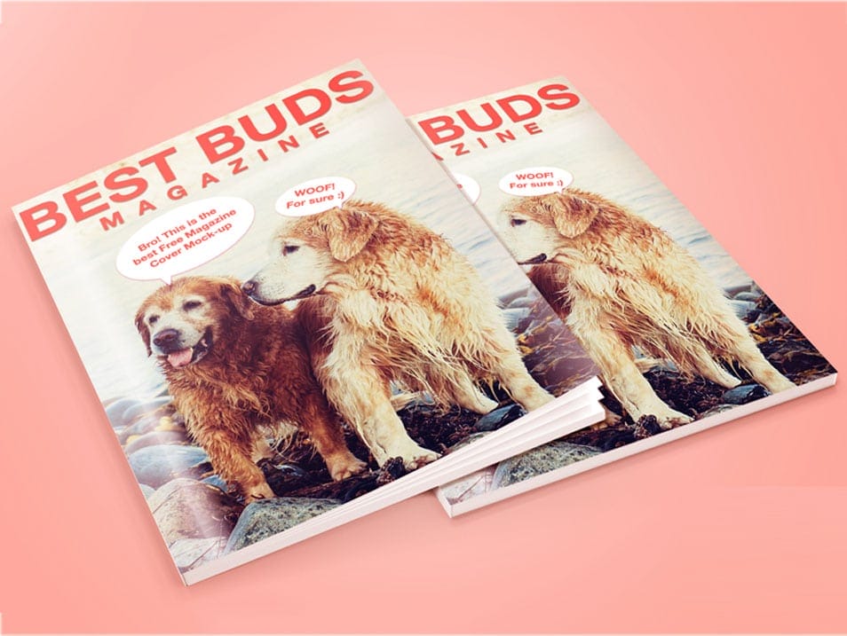 Magazine Cover Mockup