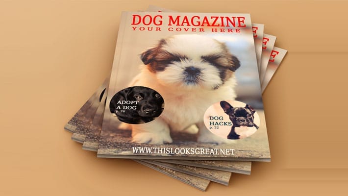 Pet Magazine Mockup