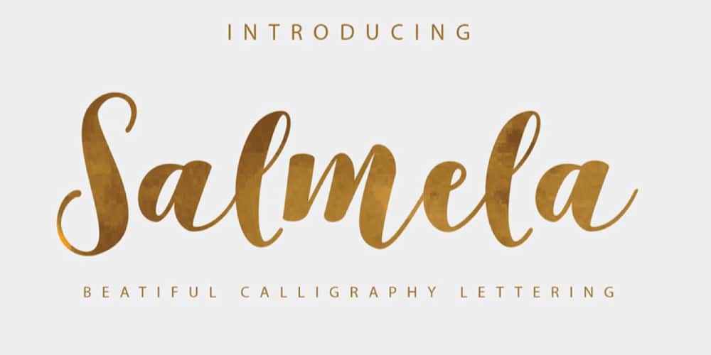Salmela Calligraphy Typeface