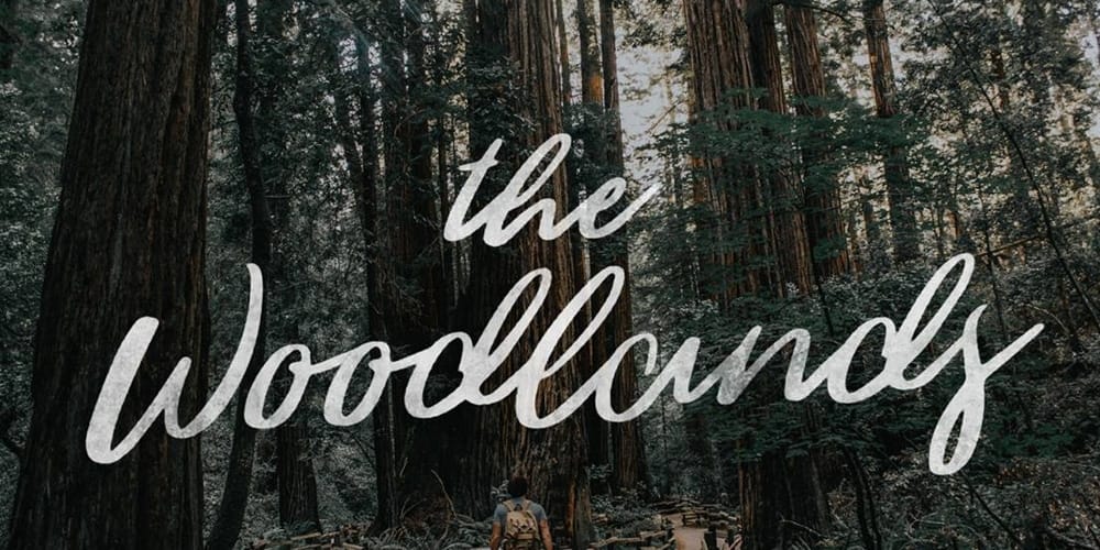 The Woodlands - Free Brush Script Font