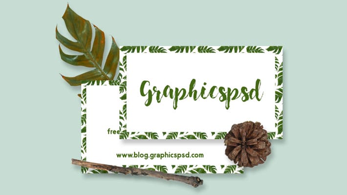 Free Eco Business Card Mockup