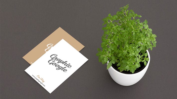 Free Elite Class Business Card Mock-up PSD