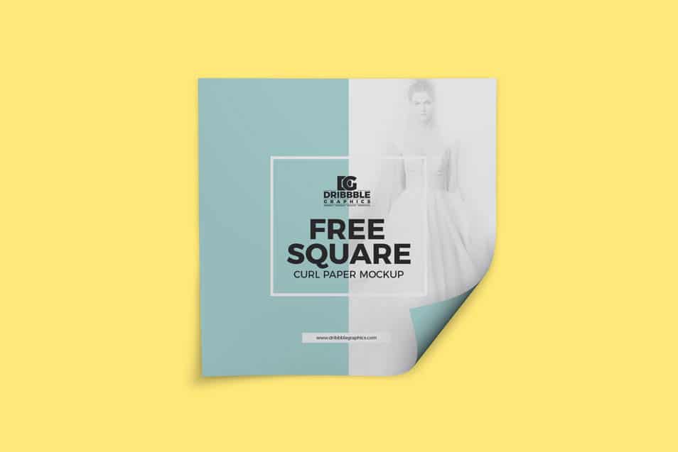Free Square Curl Paper Mockup