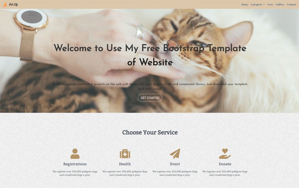 Bootstrap 4 Template