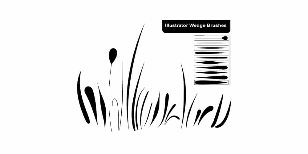 Illustrator wedge brushes