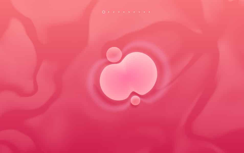 It's time for a mammogram