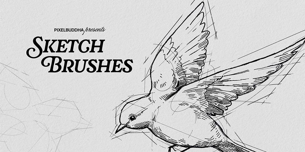 Sketch Brushes for Illustrator