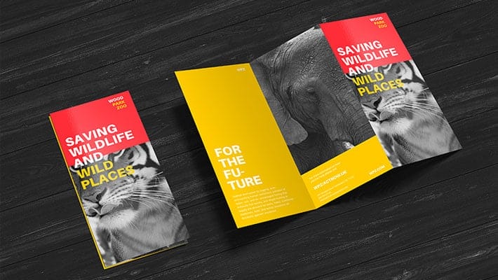 Free Premium Z-Fold Brochure Mockup PSD