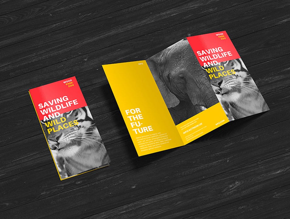 Free Premium Z-Fold Brochure Mockup PSD