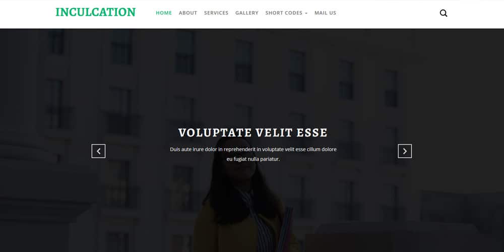 Free Education HTML Website Templates 72 inculcation