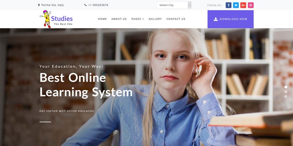 Free Education HTML Website Templates 74 studies