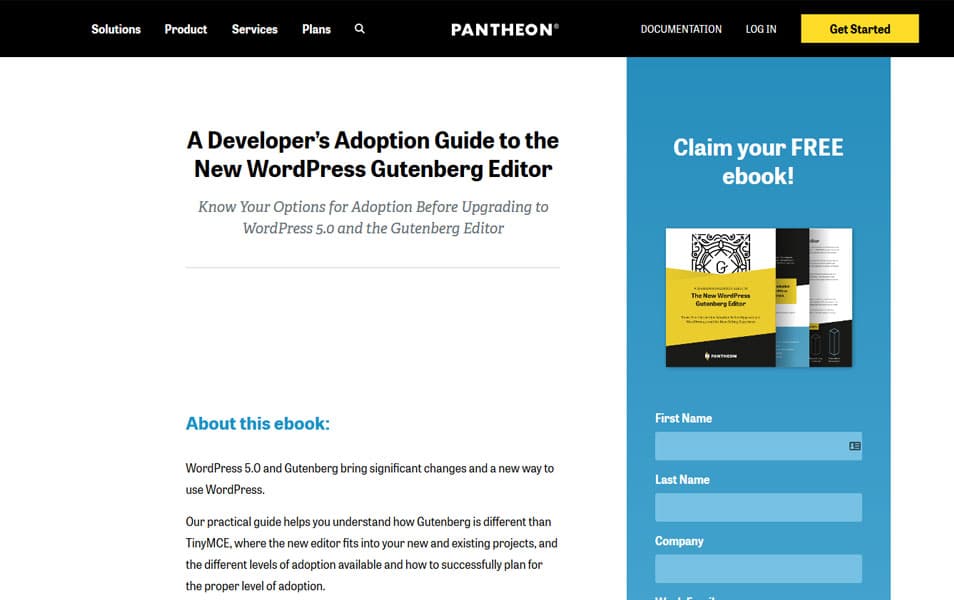 A Developers Adoption Guide to the New WordPress Gutenberg Editor