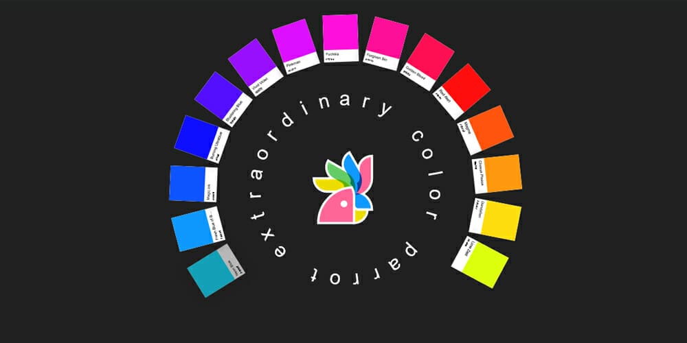 Complete Resources to Learn Color Theory 141 Color Parrot Compagnion