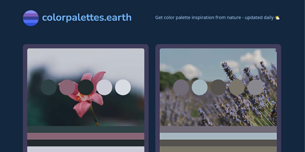 Complete Resources to Learn Color Theory 198 ColorPalettes Earth