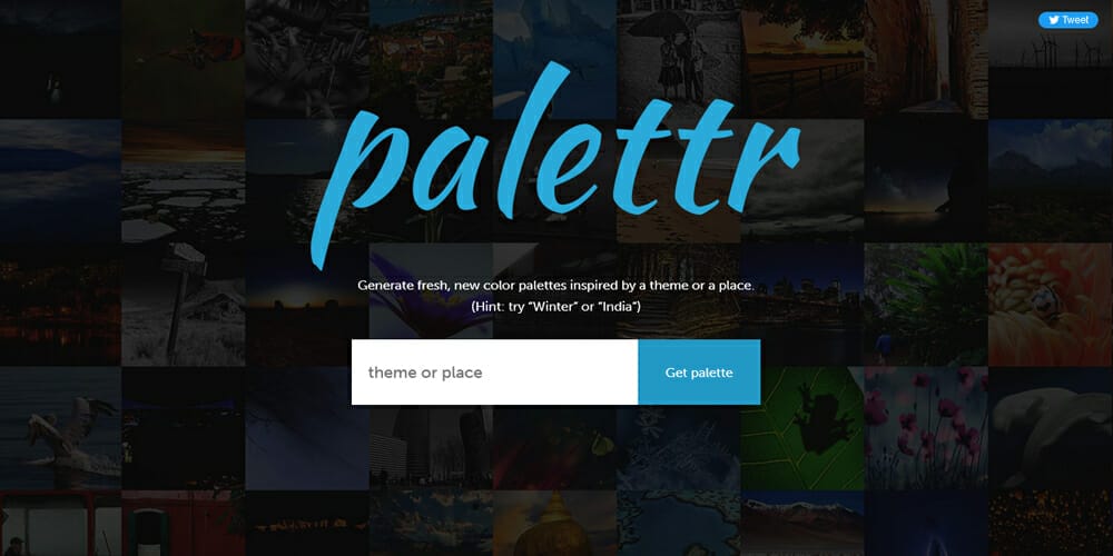 Complete Resources to Learn Color Theory 139 Palettr