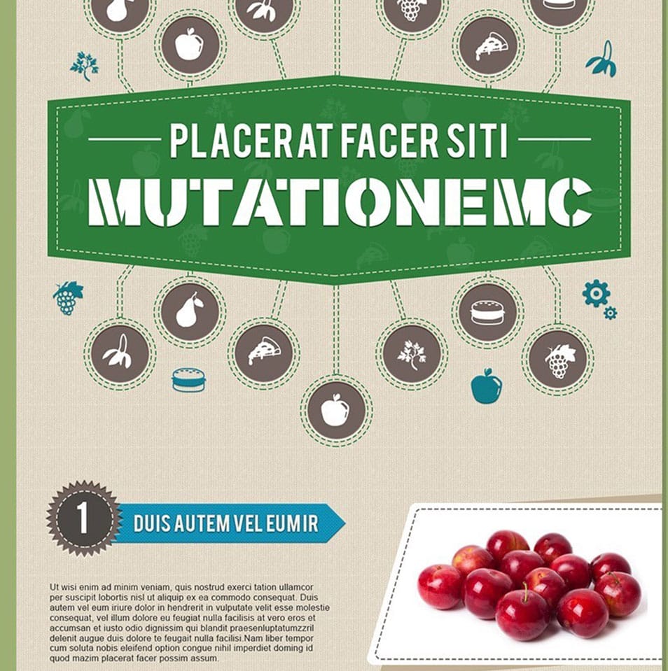 Free PSD infographics Template in Food and Nutrition Theme