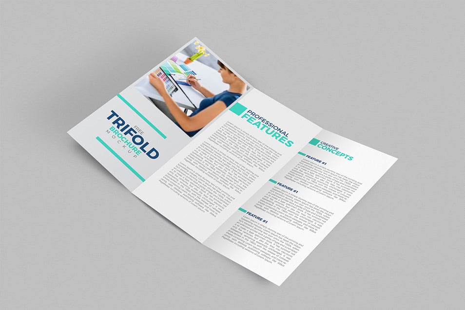 Free Tri-Fold Brochure Mockup