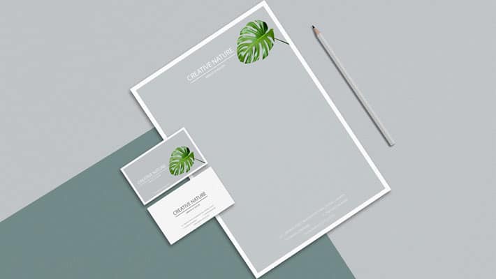 Free Letter Head and Business Card Mockup PSD