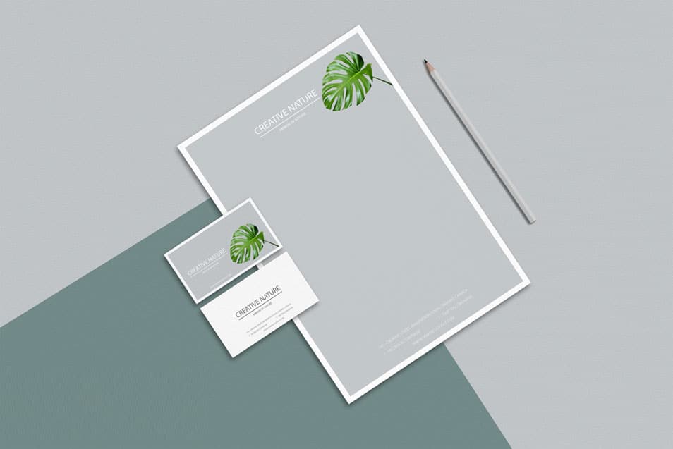 Free Letter Head and Business Card Mockup PSD