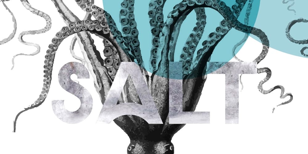 Salt Display Typeface