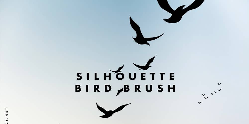 Bird Silhouette Brushes