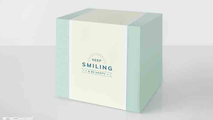 Mint Green Packaging Box Mockup » CSS Author