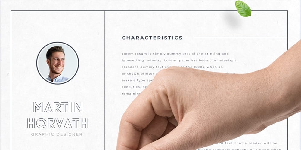 Professional Resume Template