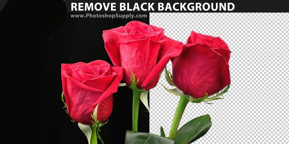 photoshop remove black background