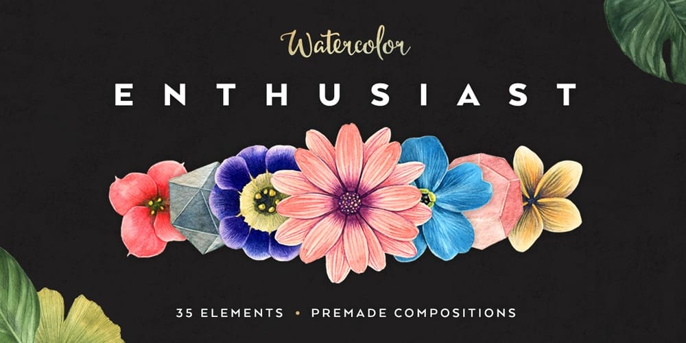 Watercolor Enthusiast Graphic Pack