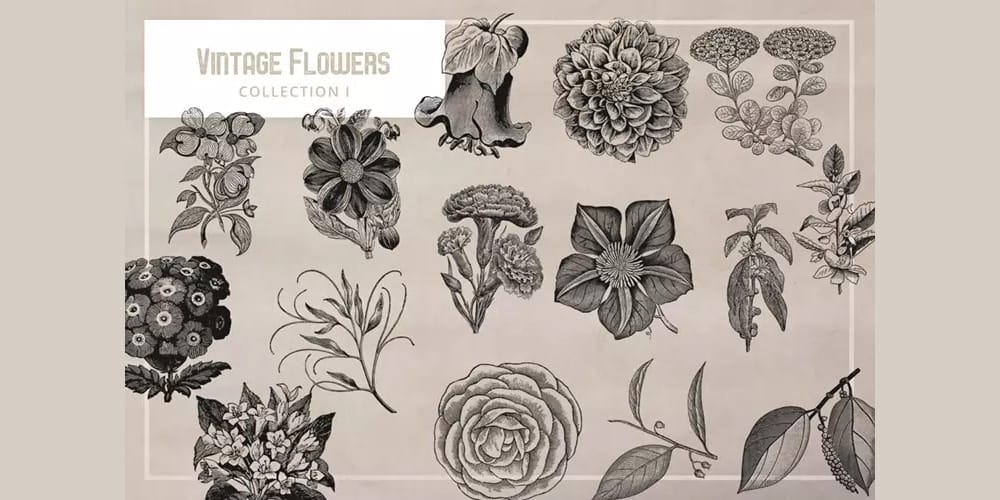 Vintage Flowers Graphics