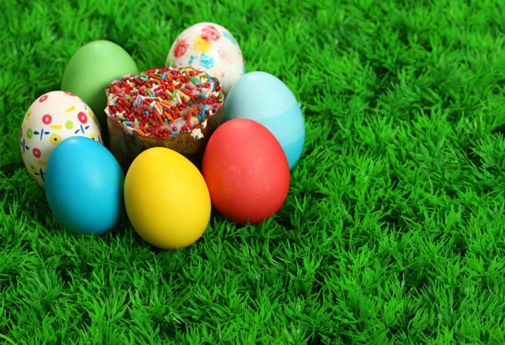 Easter Eggs on Green Grass HD Wallpaper 