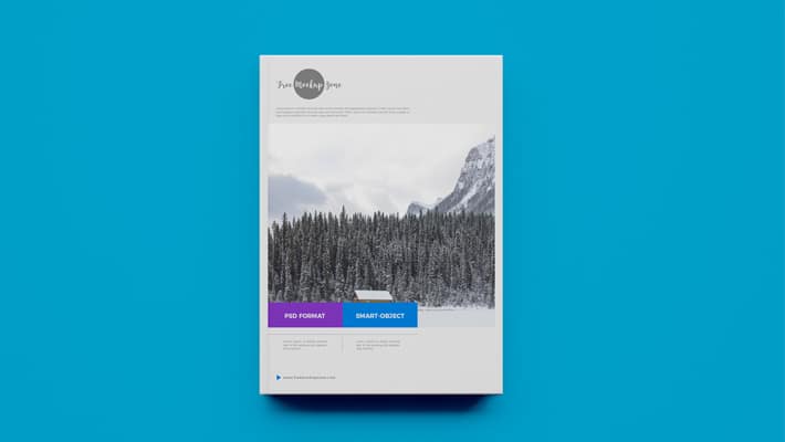 Free Book Mockup PSD
