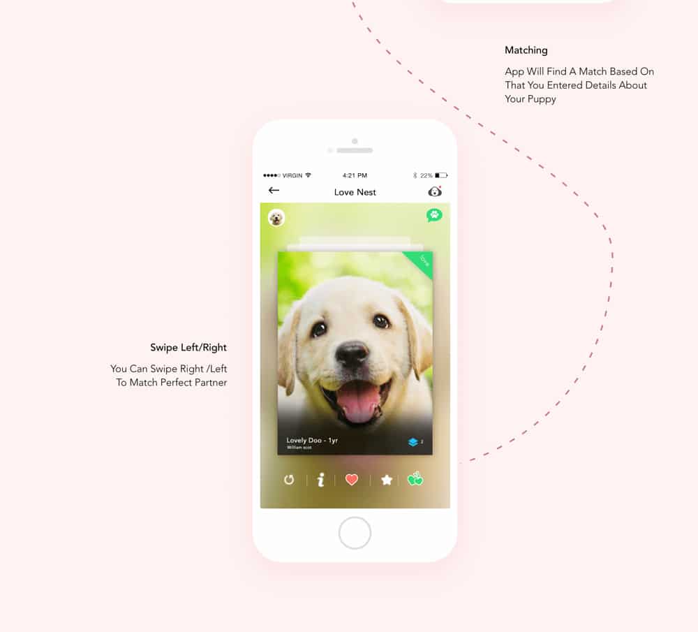 Dog Dating App