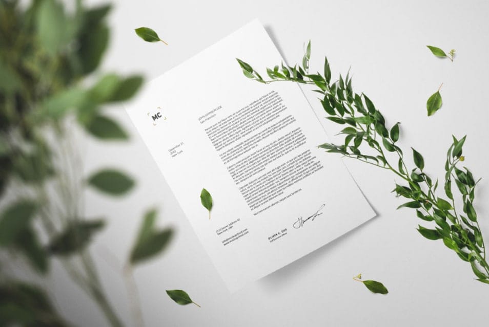 Floral Mockup Free Scene