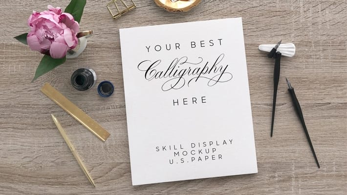 Free U.S. Paper Size Letterhead / Skill Display Mockup PSD