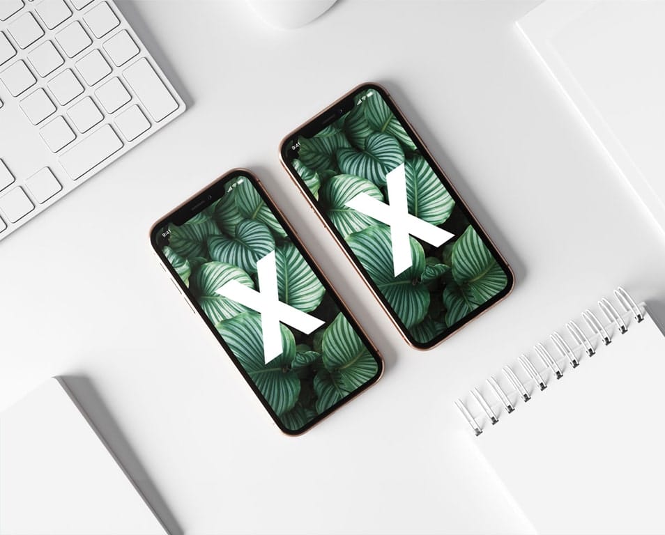 Double iPhone X Mockup