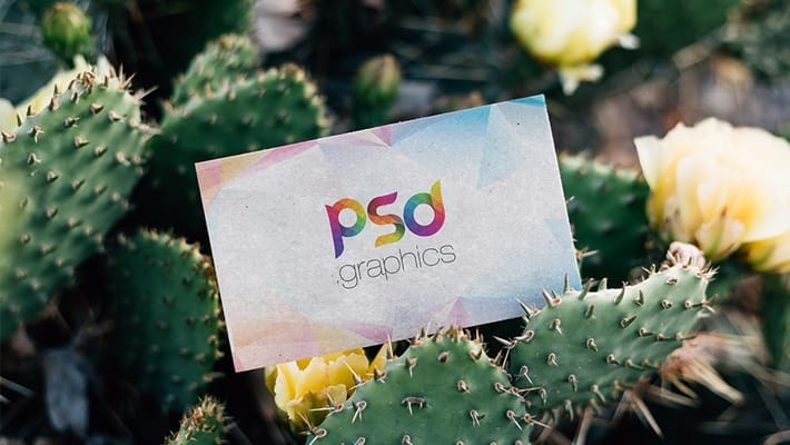 Outdoor Business Card Mockup Template