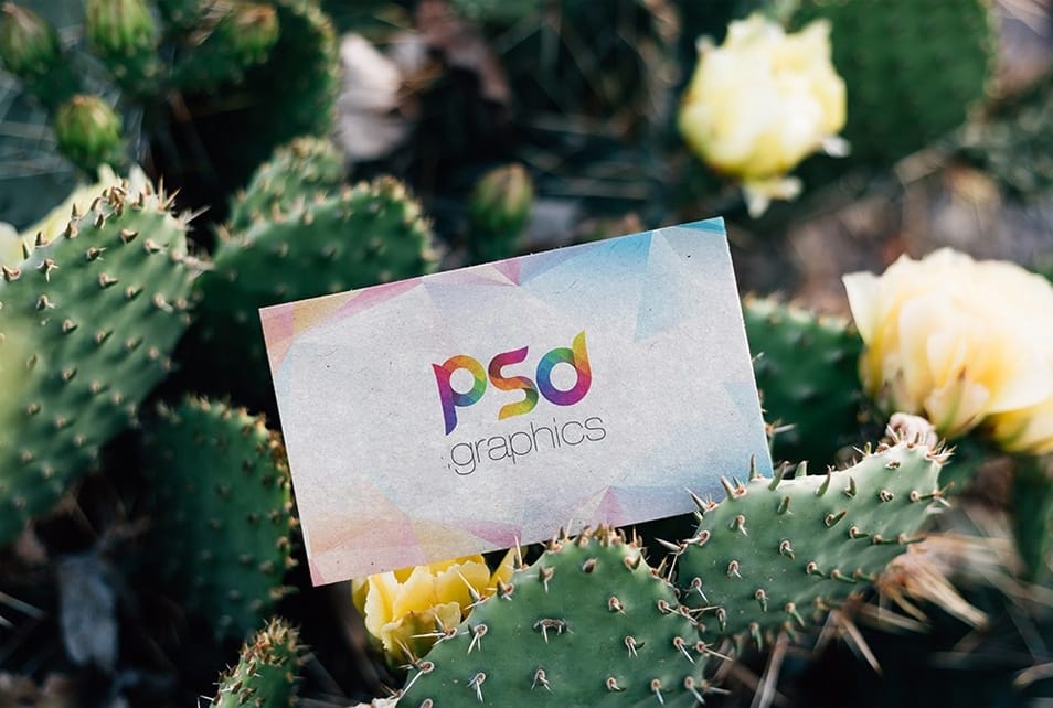 Outdoor Business Card Mockup Template