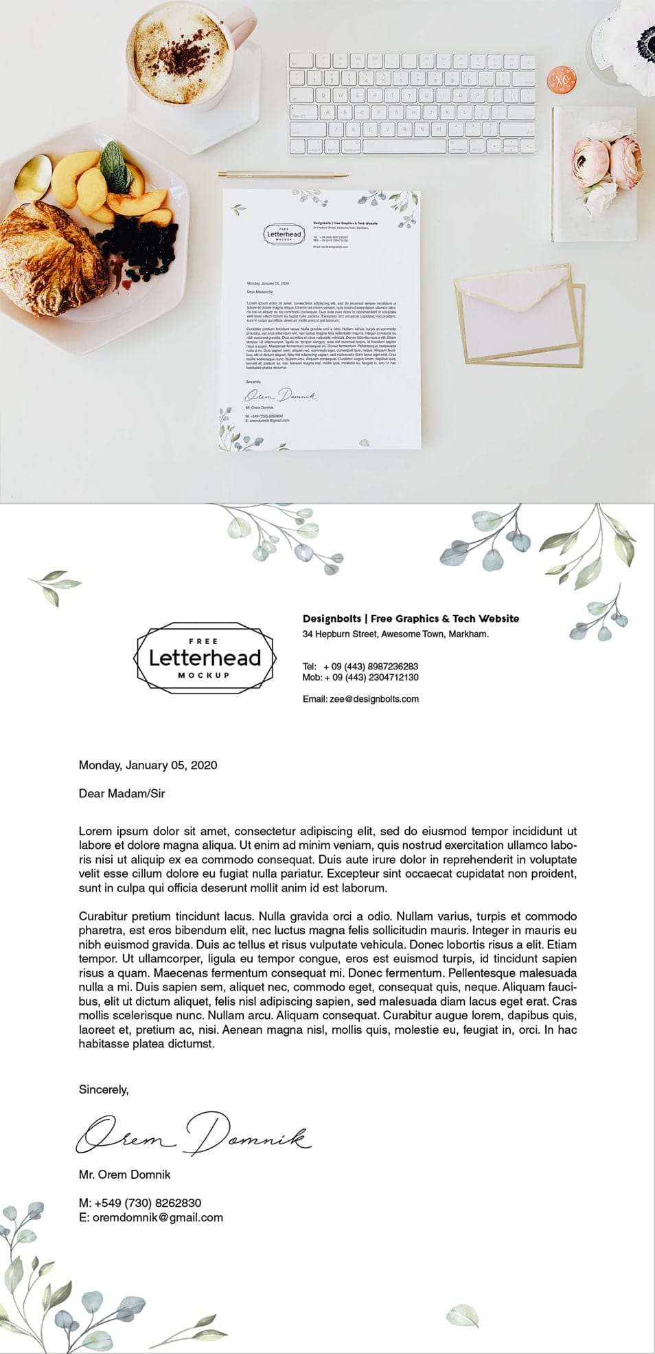 Free U.S Letter Size Letterhead Design & Mockup PSD