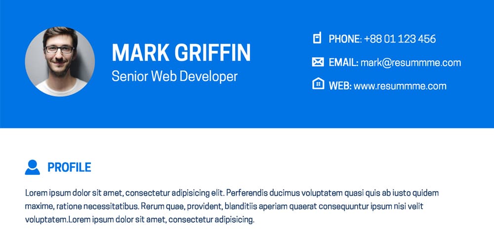 Web Developer Resume Template