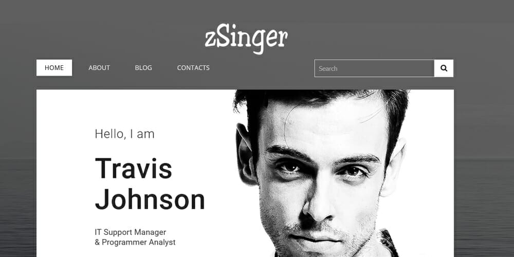 20+ Free HTML Resume Templates 2023 40 zSinger